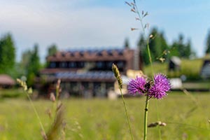 cazare vatra dornei la bella vista