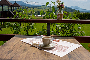 cazare vatra dornei la bella vista