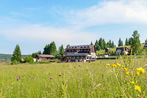 cazare vatra dornei la bella vista